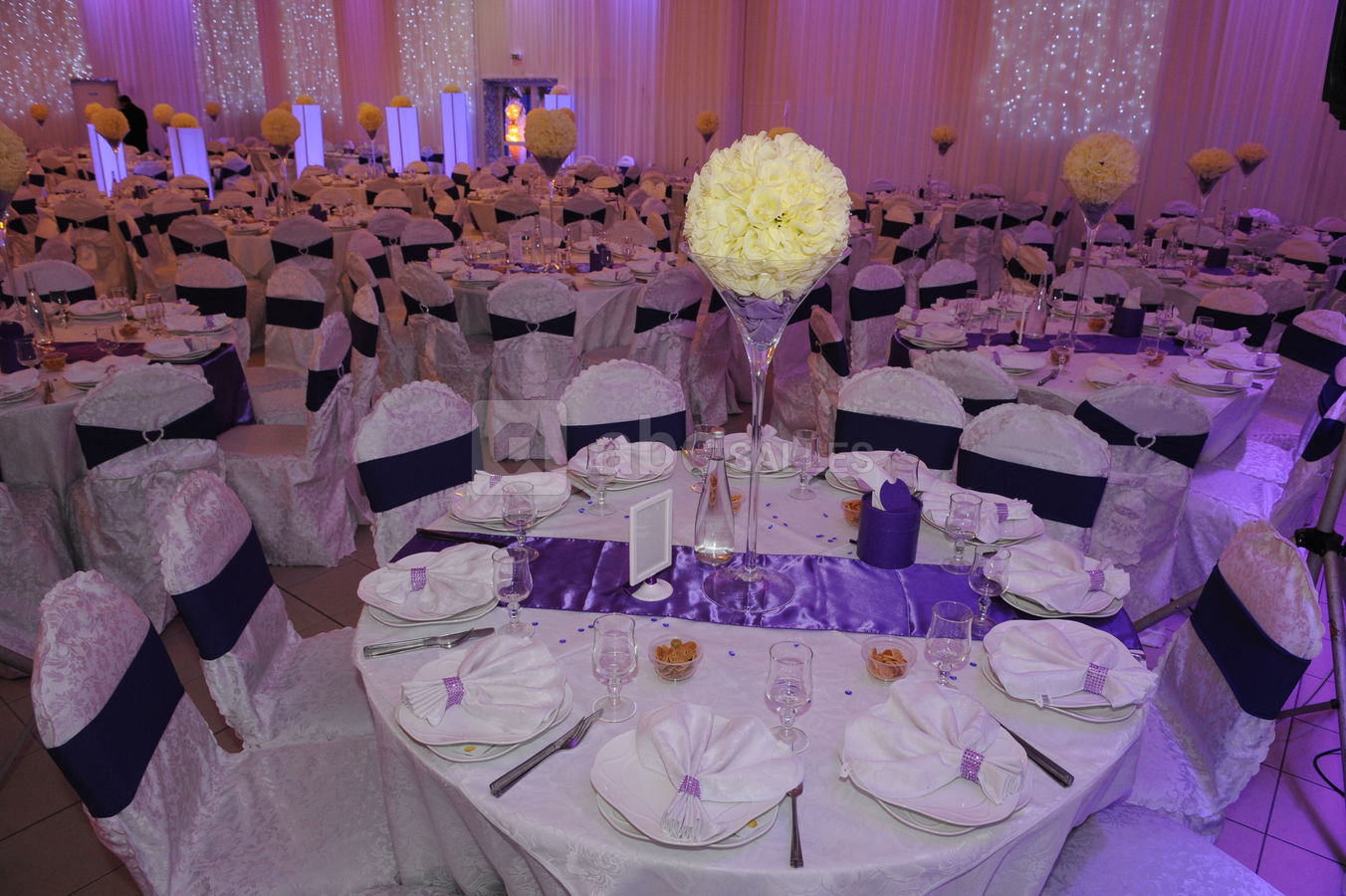 Au Palais de la Reine