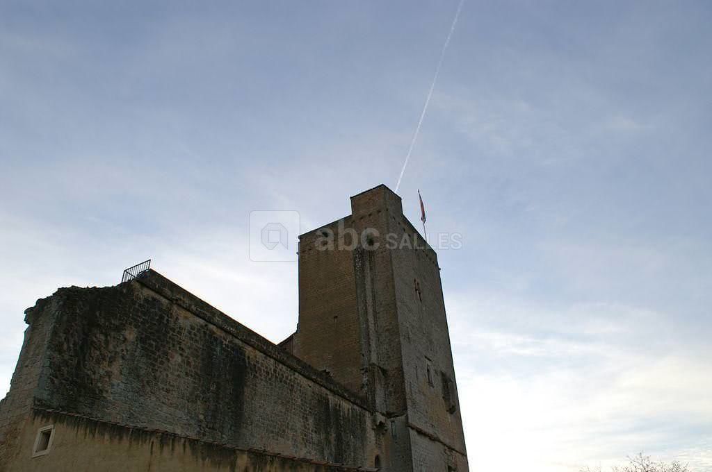 Salle des Mousquetaires