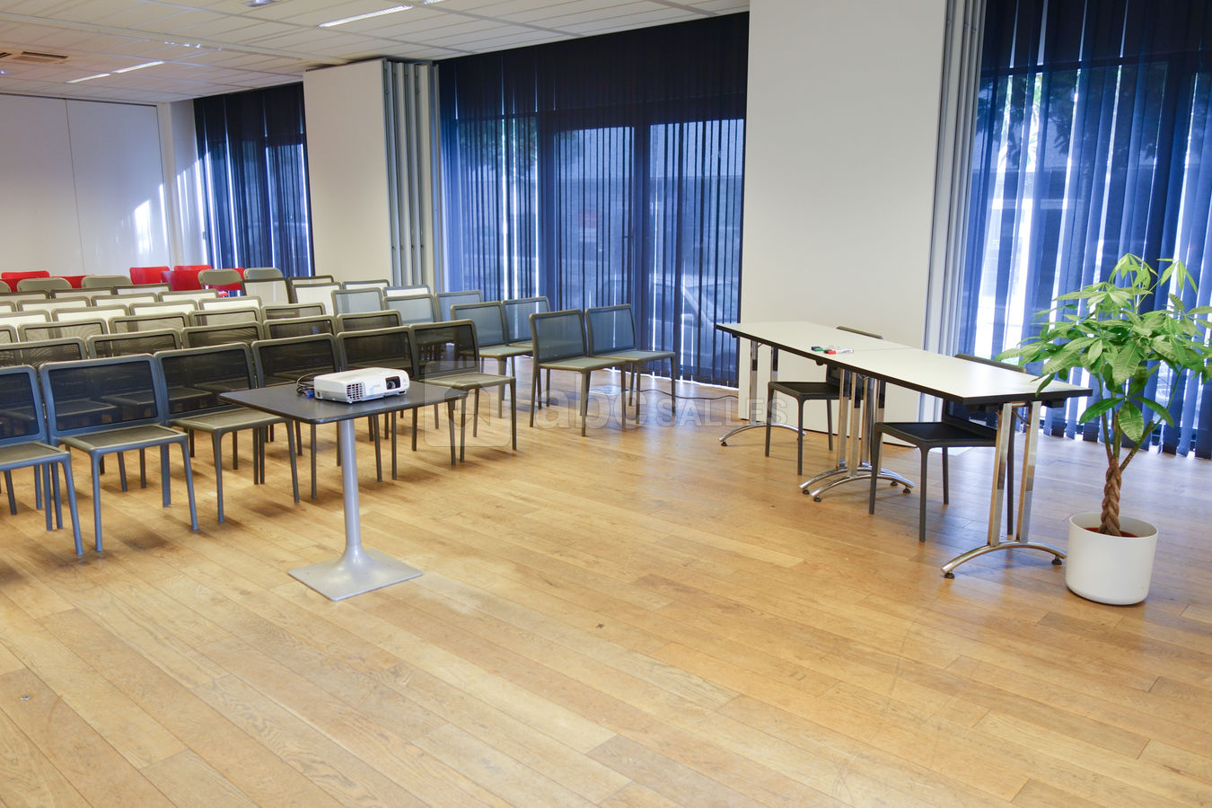 Disposition en conférence