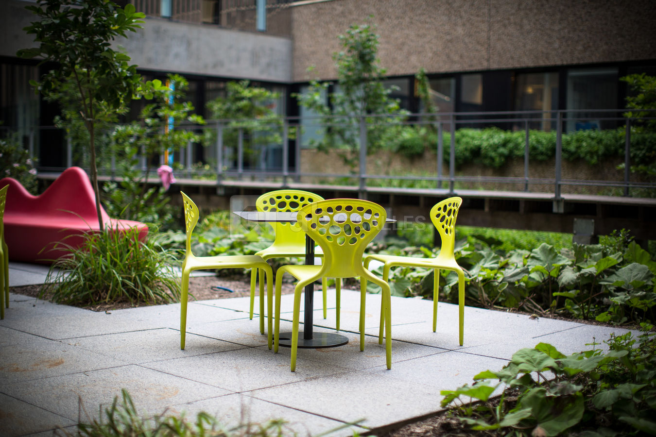 Une terrasse végétale