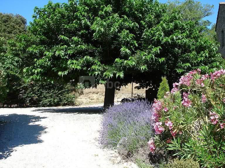 Le parc