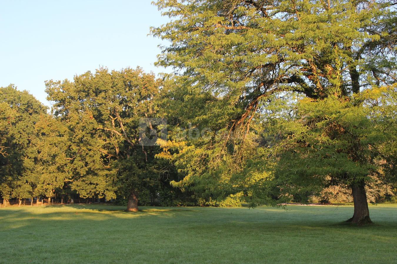 Le parc