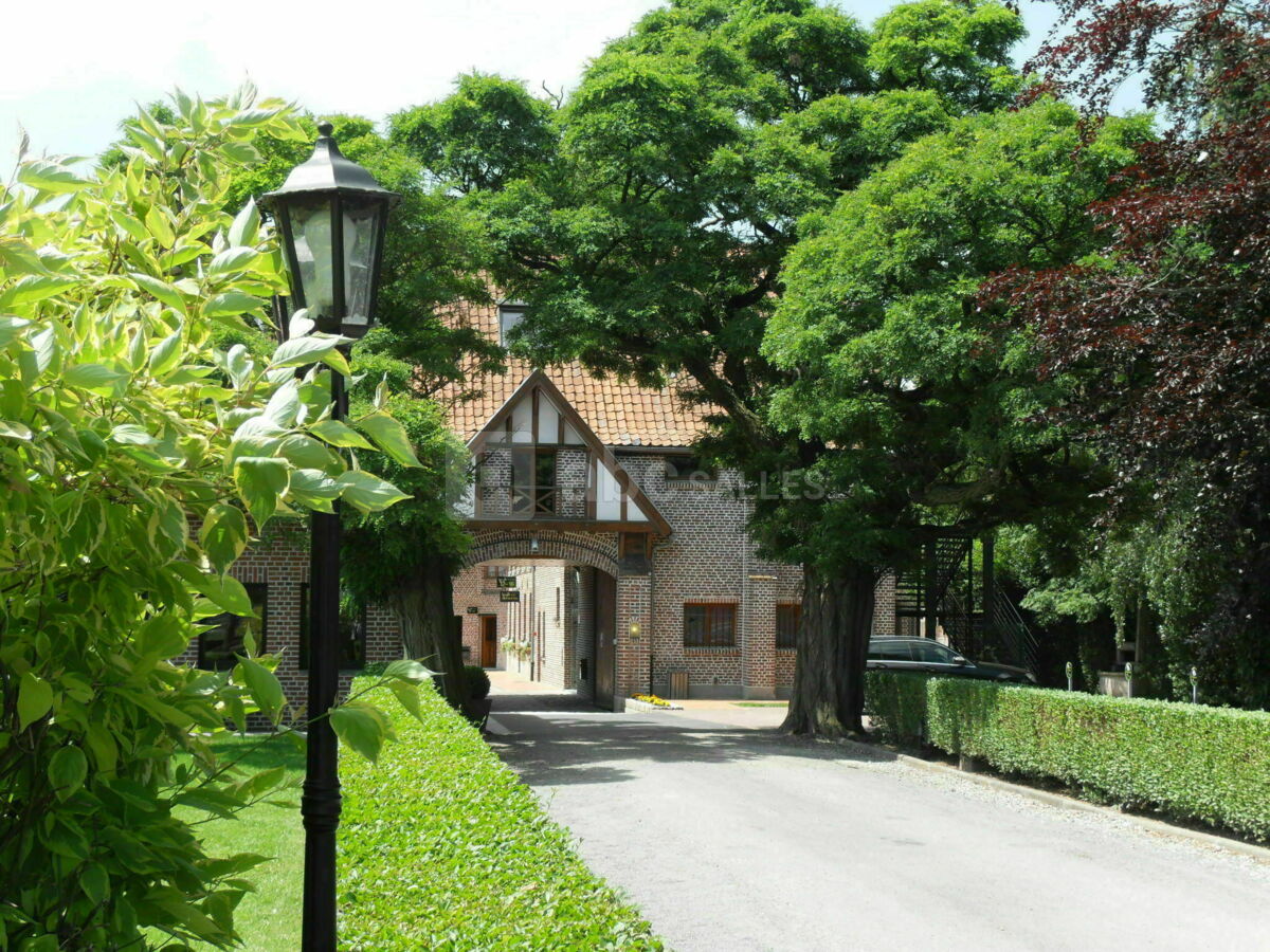 Entrée domaine