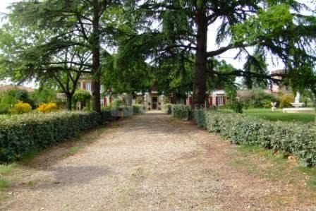 L'allé de cèdres