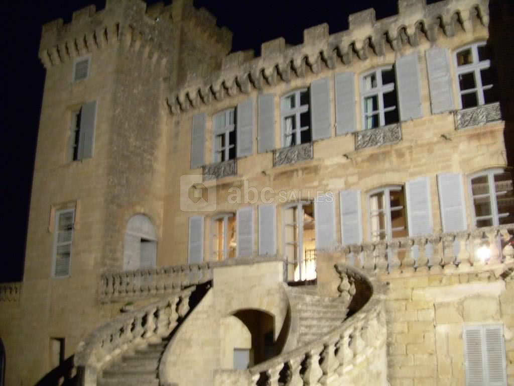 Chateau de nuit