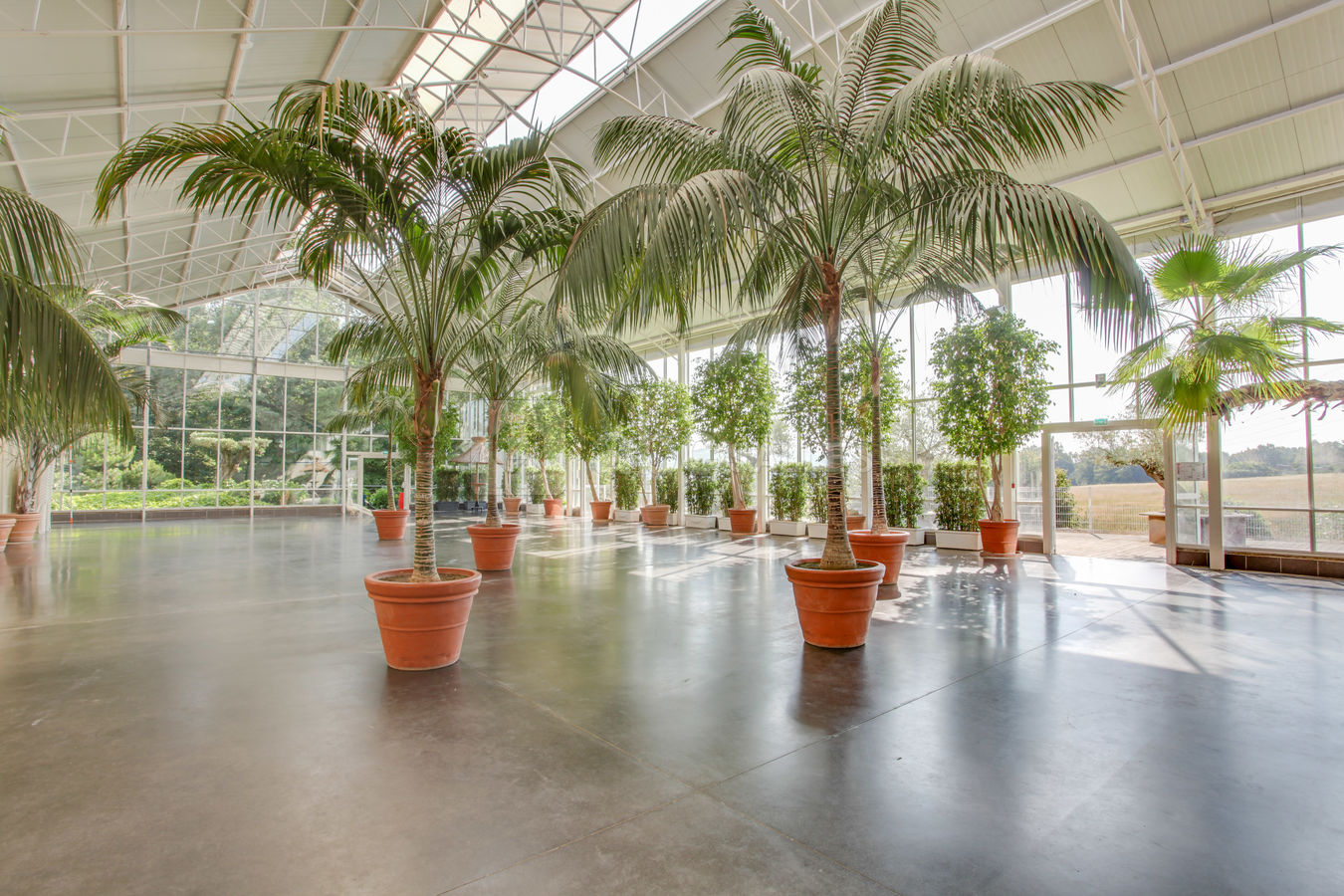 Salle de réception