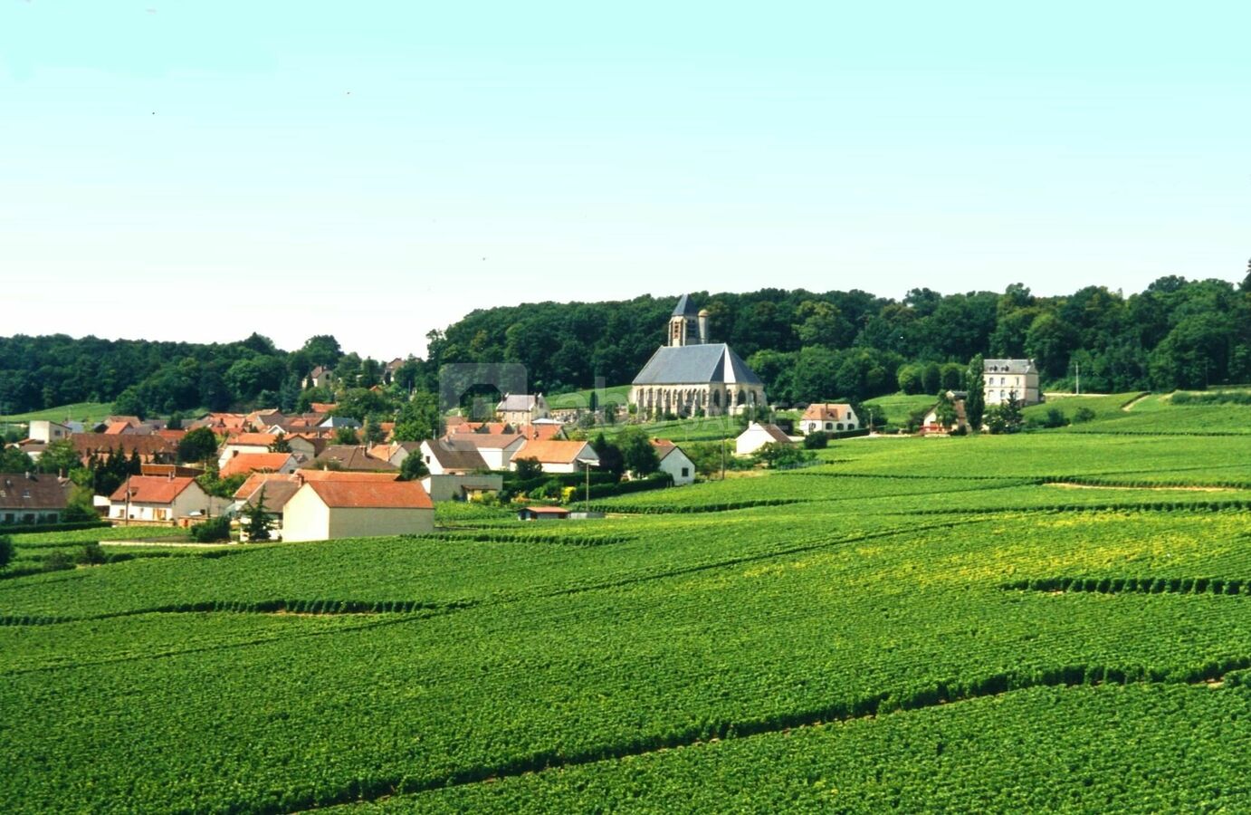 VUE DEPUIS LA TERRASSE