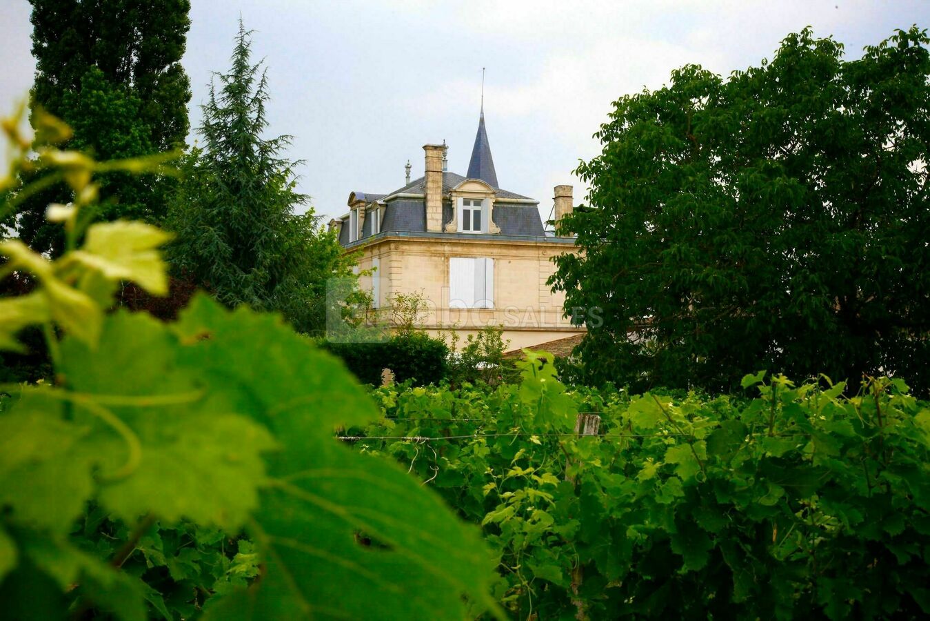 Le château