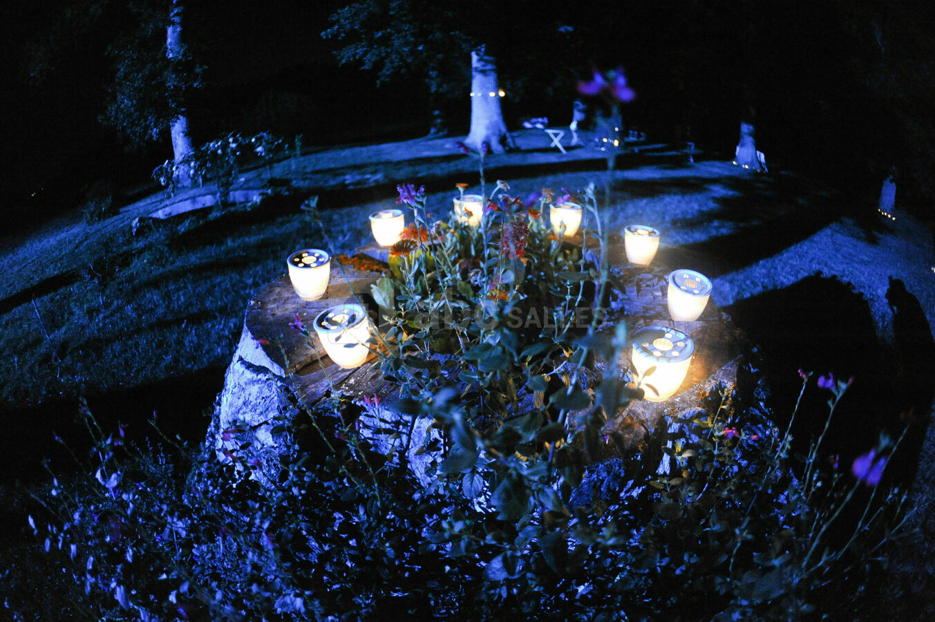 Ambiance nocturne
