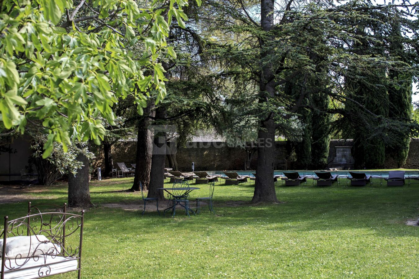 Le jardin
