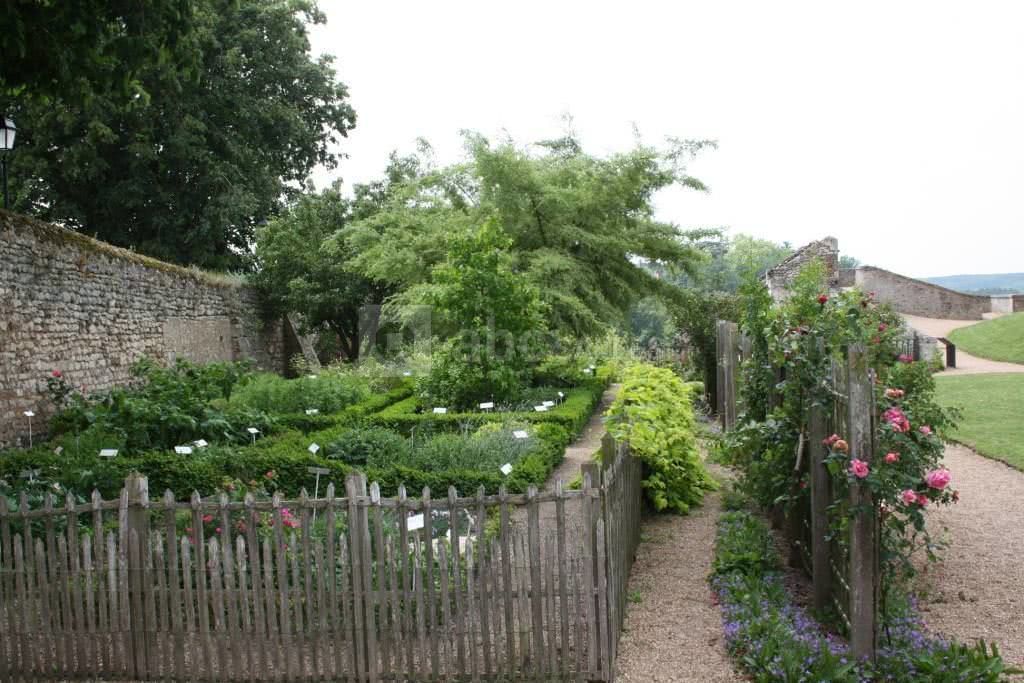 Jardin de plantes médicinales