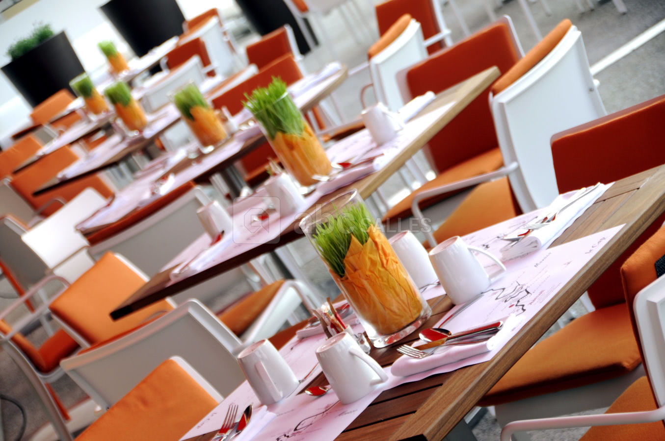 Terrasse du restaurant