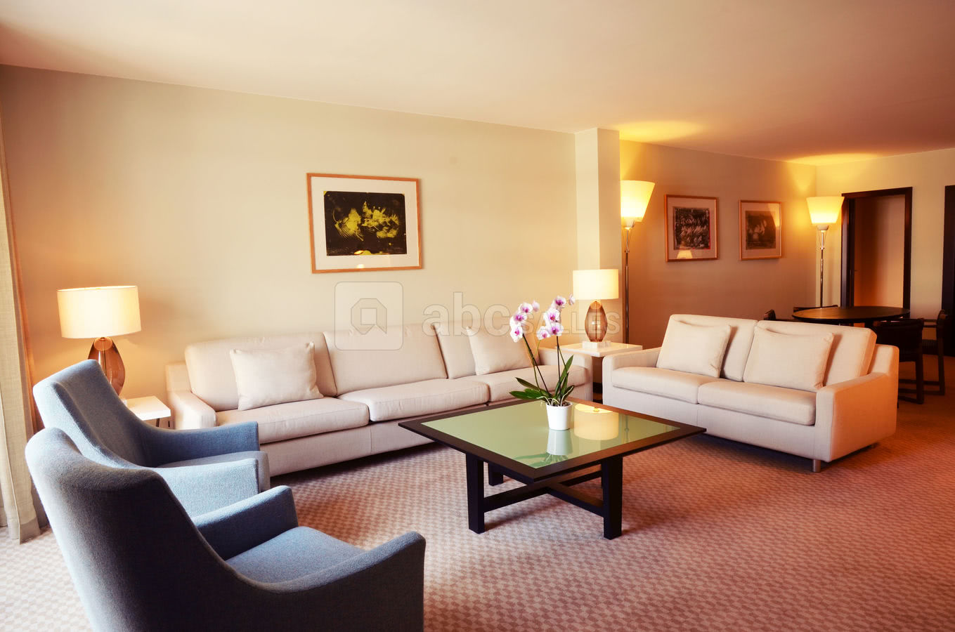 Premium Suite