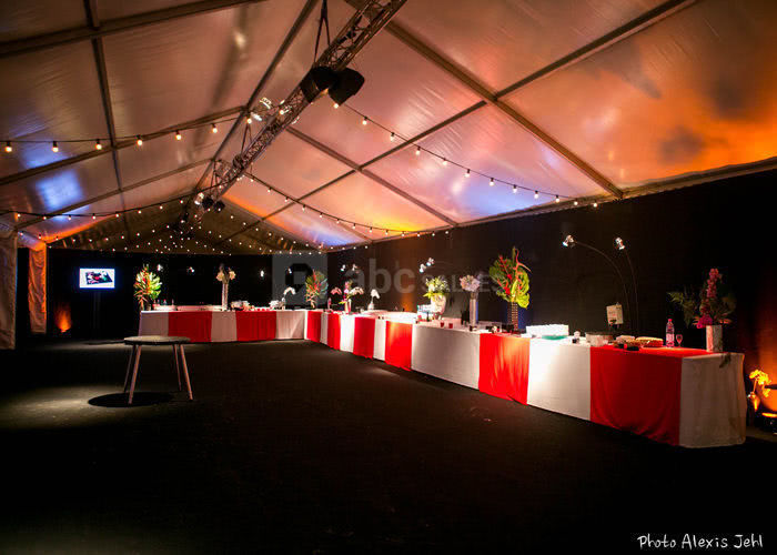 Cirque National Alexis Gruss