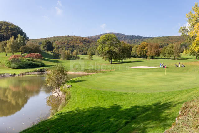 Vue du golf