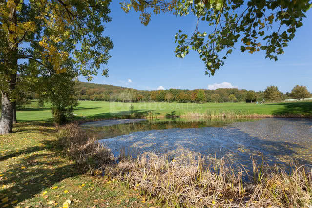 Vue du golf