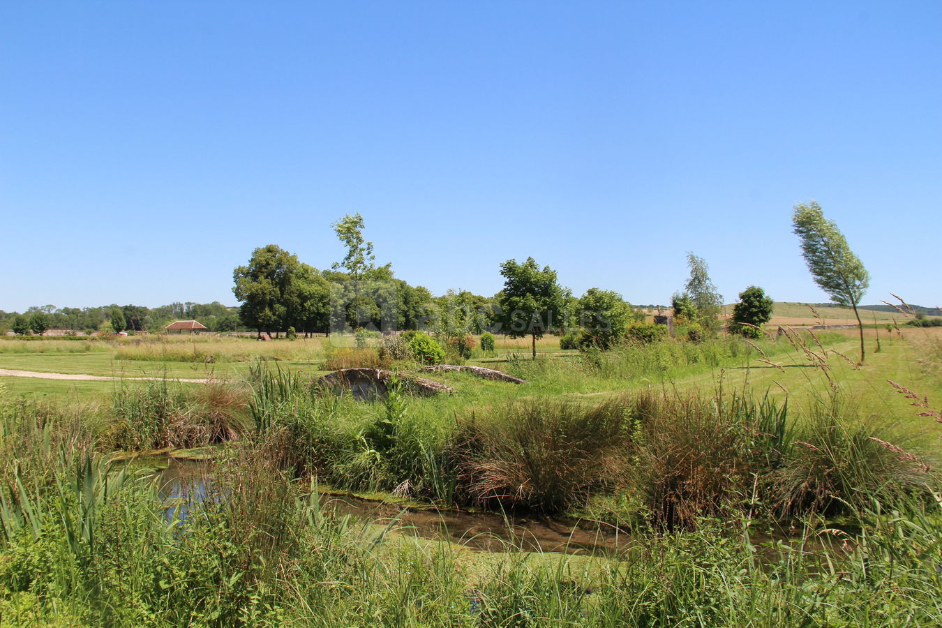 Pont sur les canaux du parc
