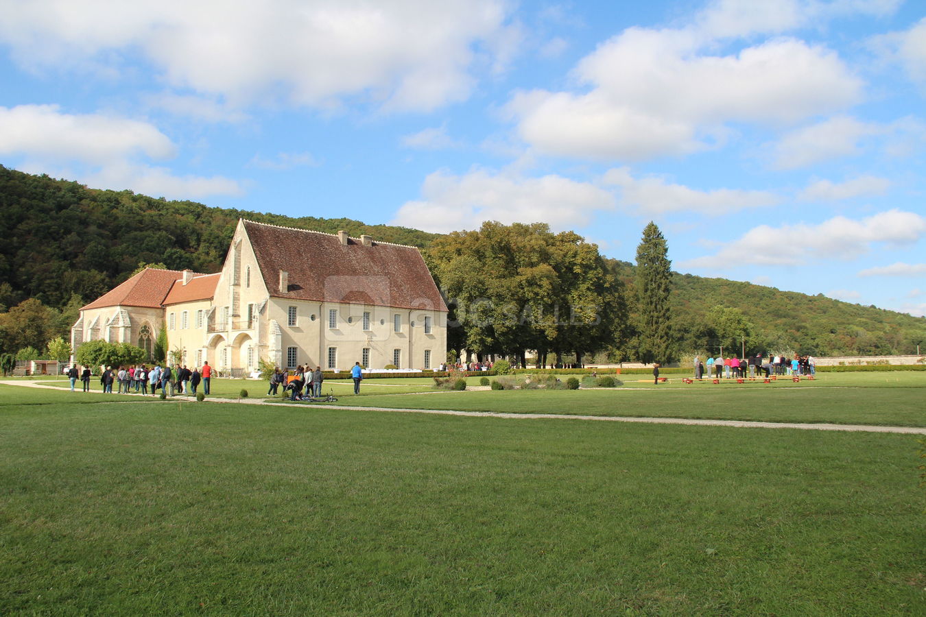 Activités de teambuilding