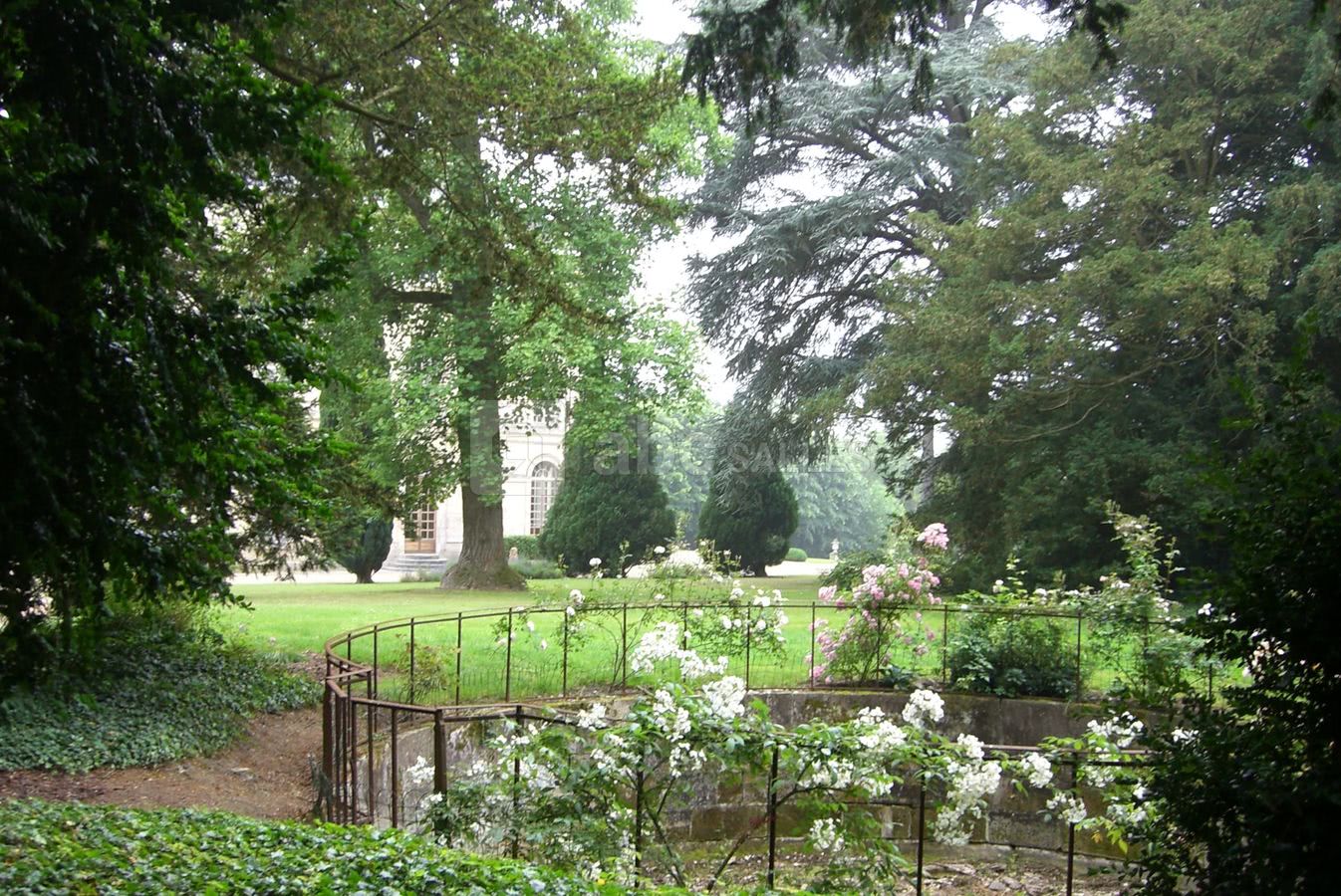 Le jardin alentour