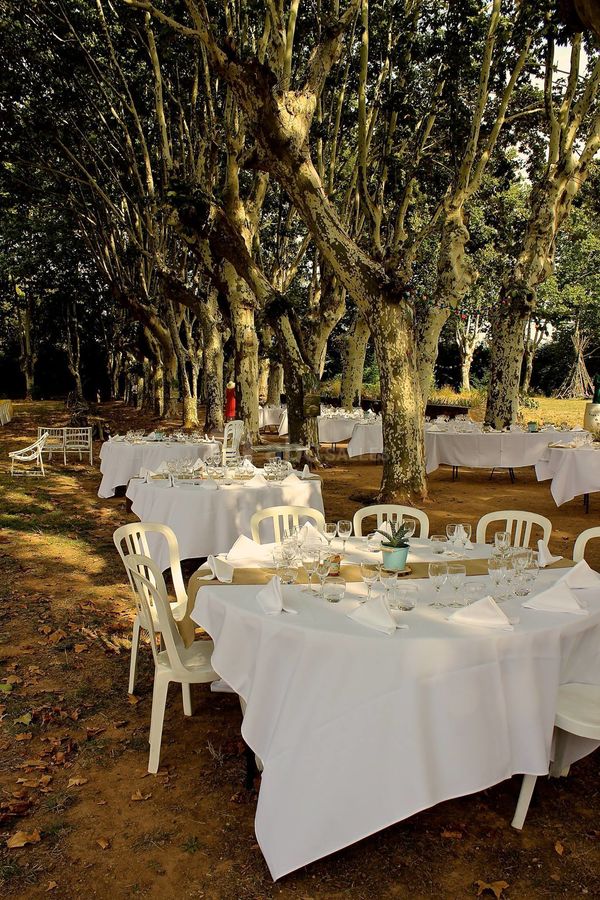 Domaine Pech Laurier