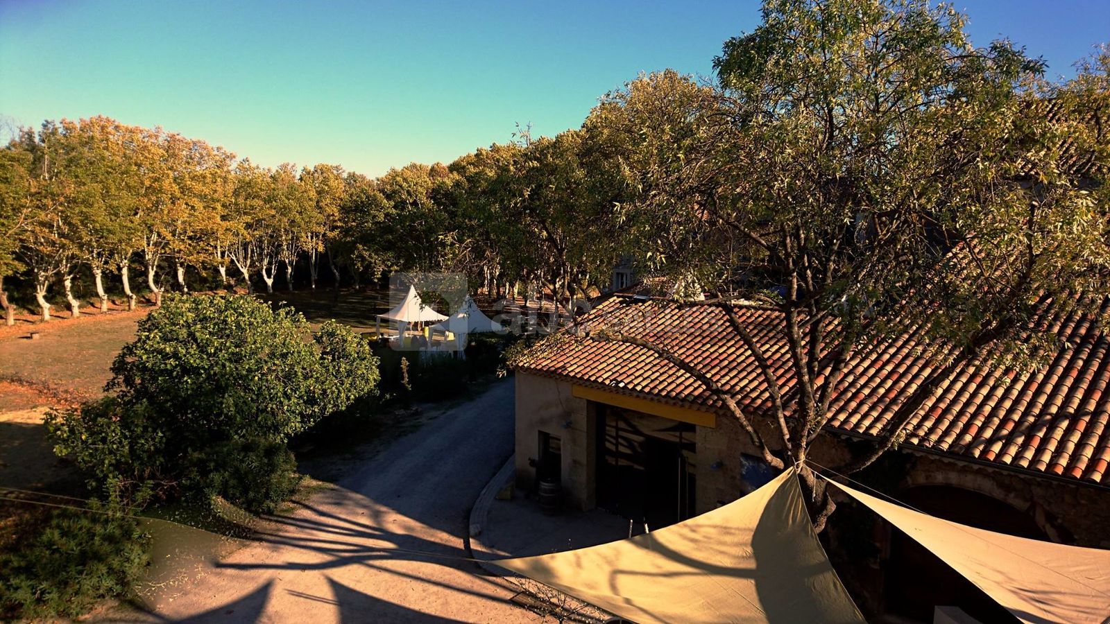 Domaine Pech Laurier