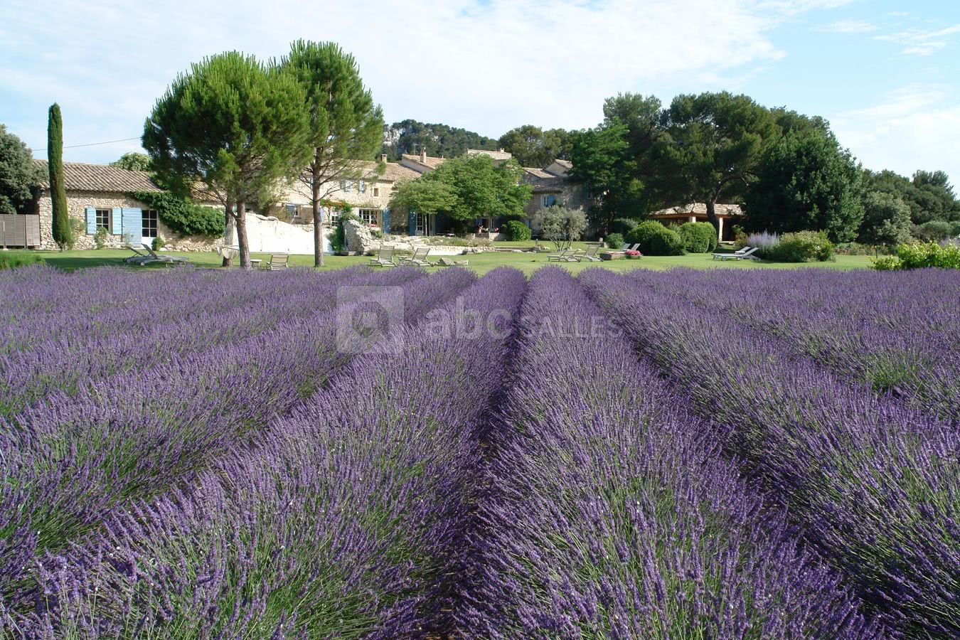 Le Mas de la Rose