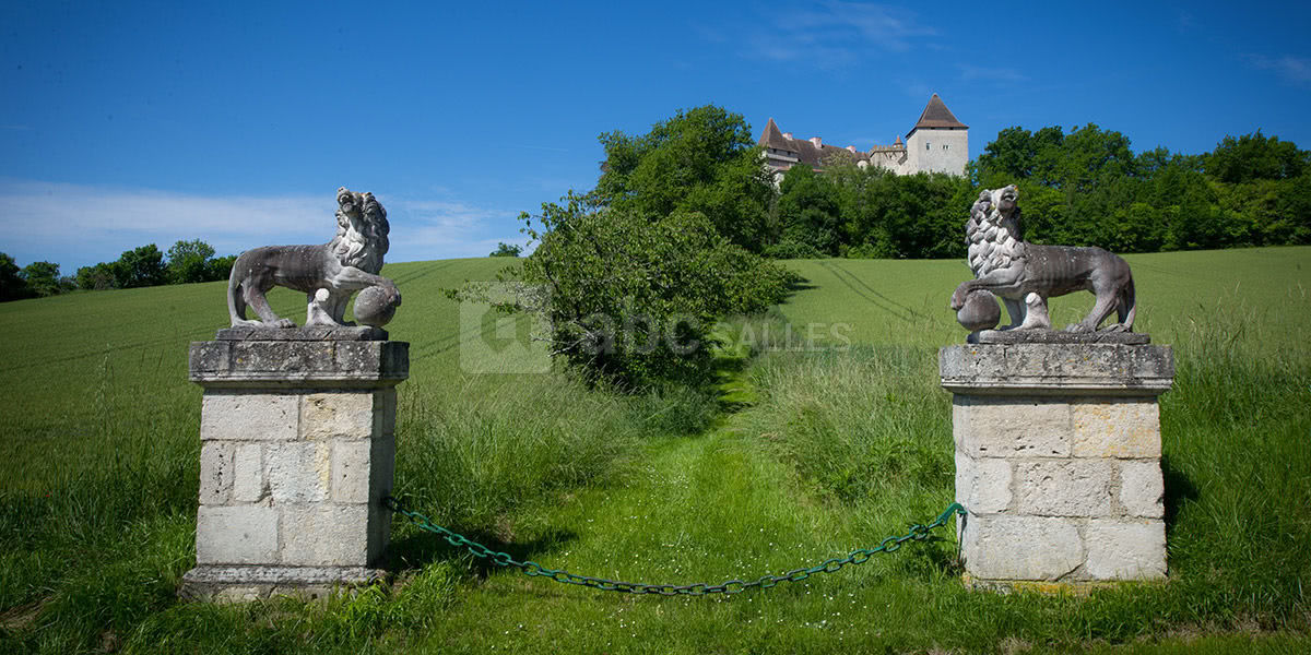 L'allée des lions du Chateau de Goudourville