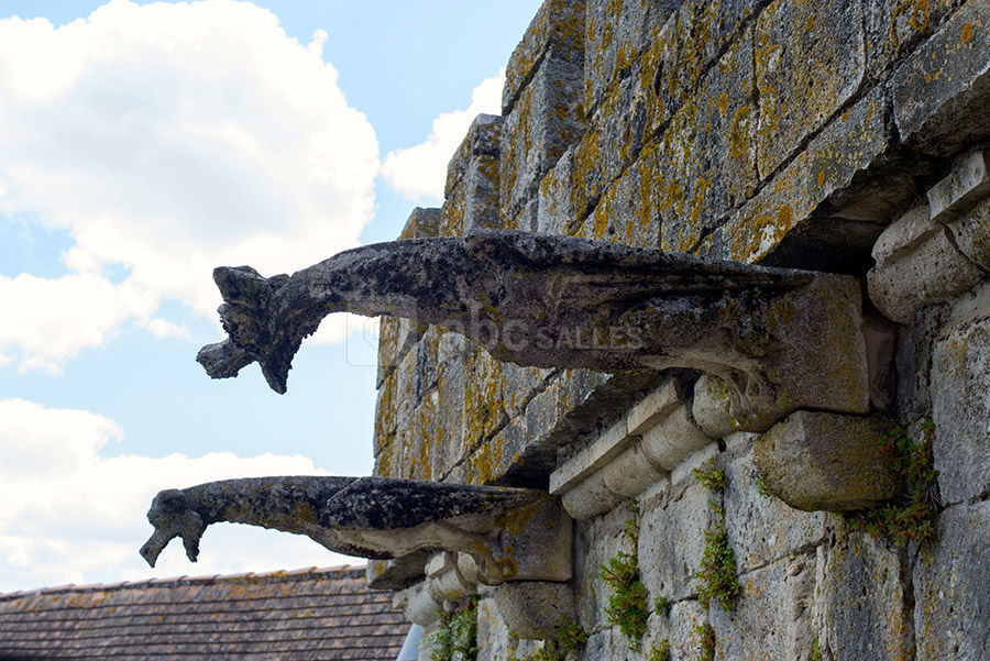 Gargouilles au Chateau de Goudourville