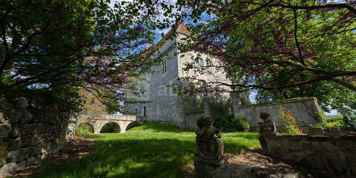 Les sous-bois au printemps