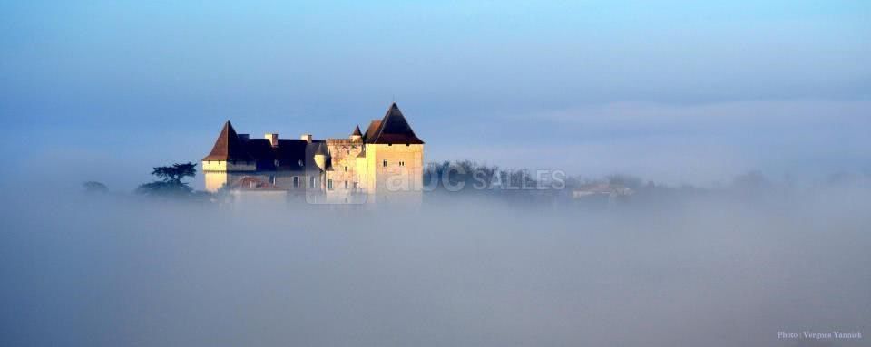 Le chateau de Goudourville émergeant de la brume