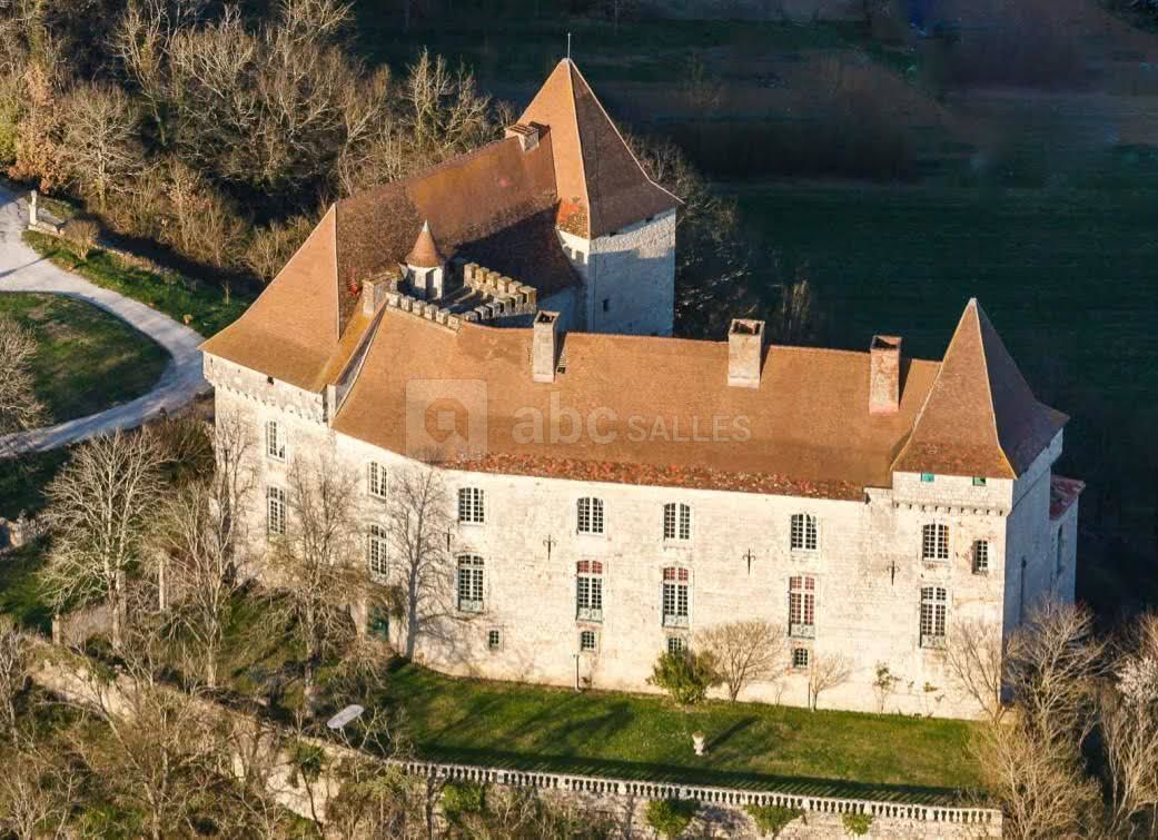 Le château de Goudourville dans le soleil