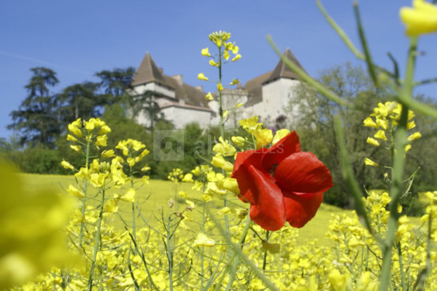 Château de Goudourville en plein été