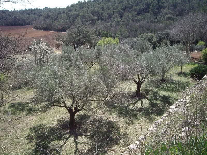 Vue de la terrasse