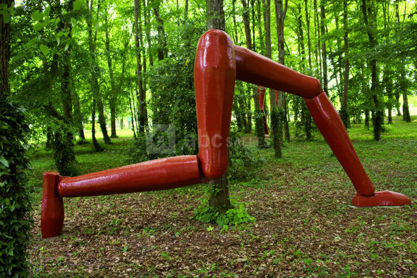 La forêt qui court