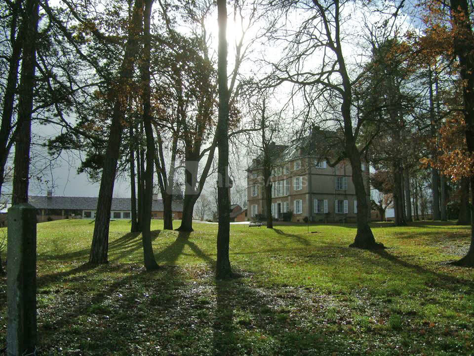 Sous les ombrages à l'orage