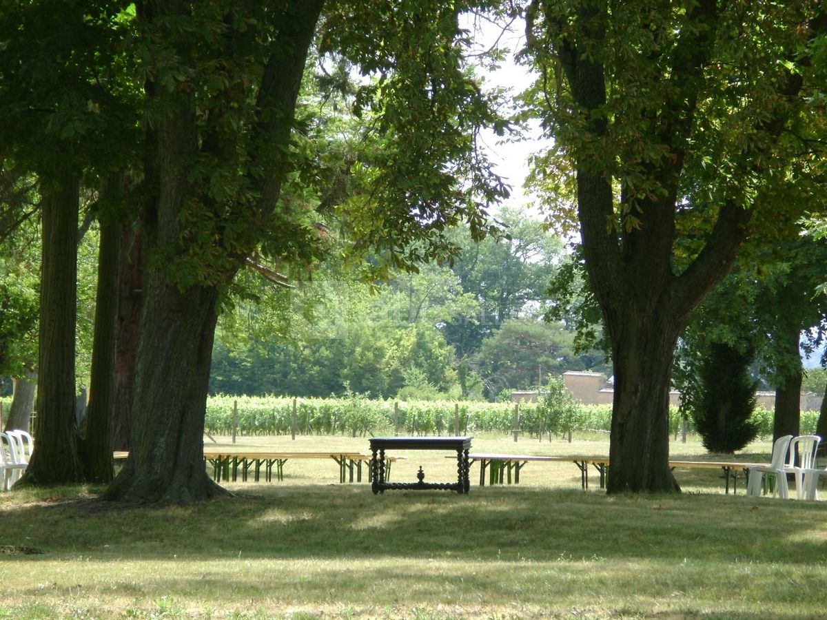 Jardin