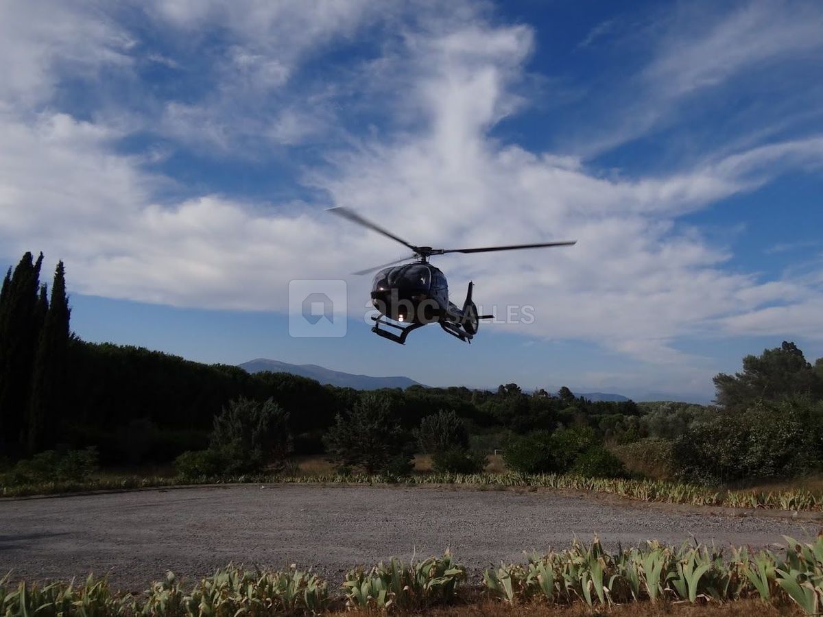 Le Paradis des Oiseaux