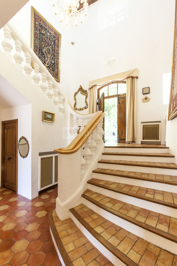 Le Paradis des Oiseaux