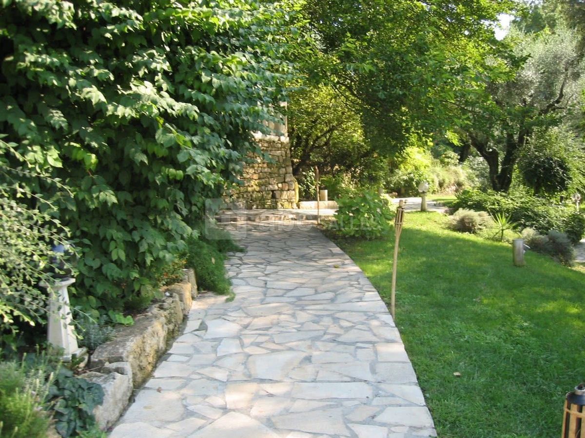 Le Paradis des Oiseaux