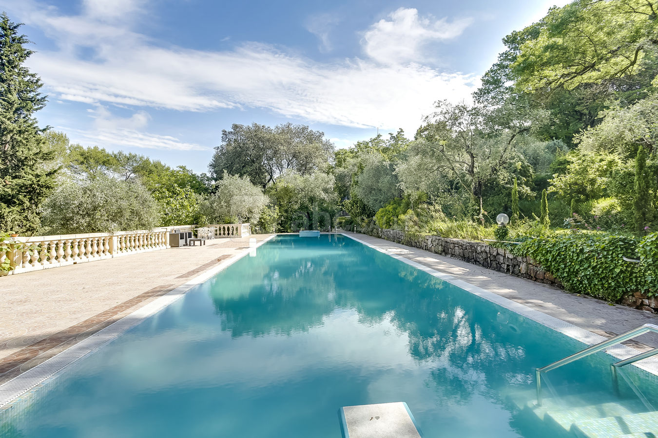 Le Paradis des Oiseaux