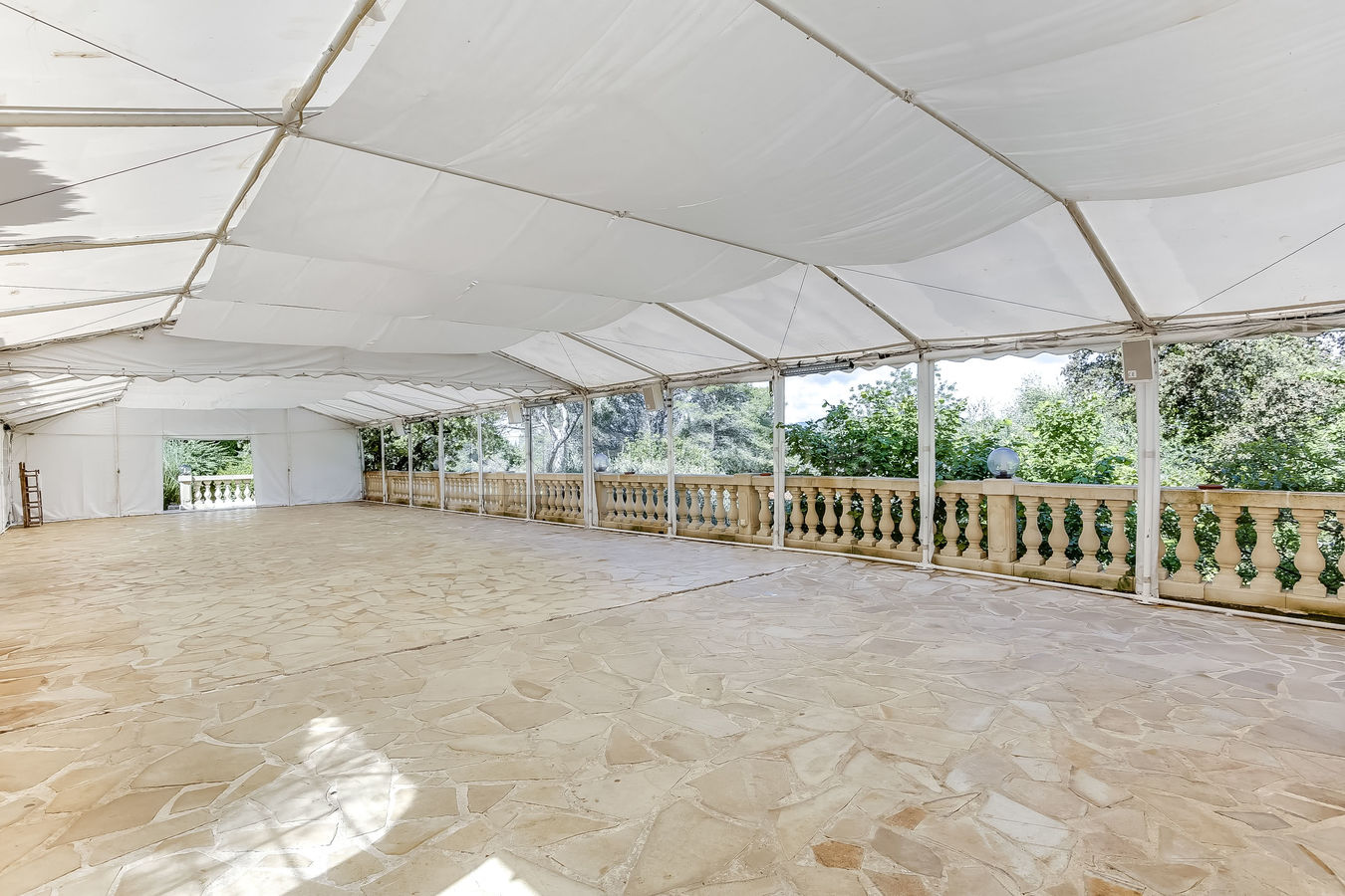 Le Paradis des Oiseaux