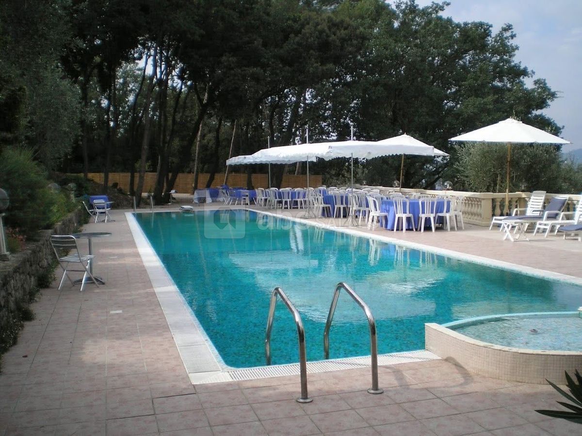 Le Paradis des Oiseaux