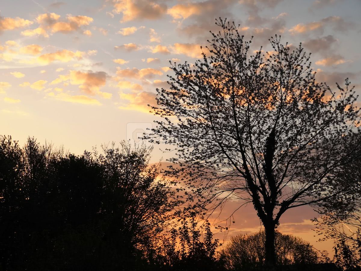 Levée de soleil en Normandie
