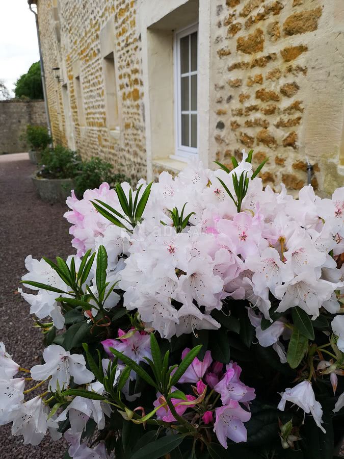 Fleurissement du domaine