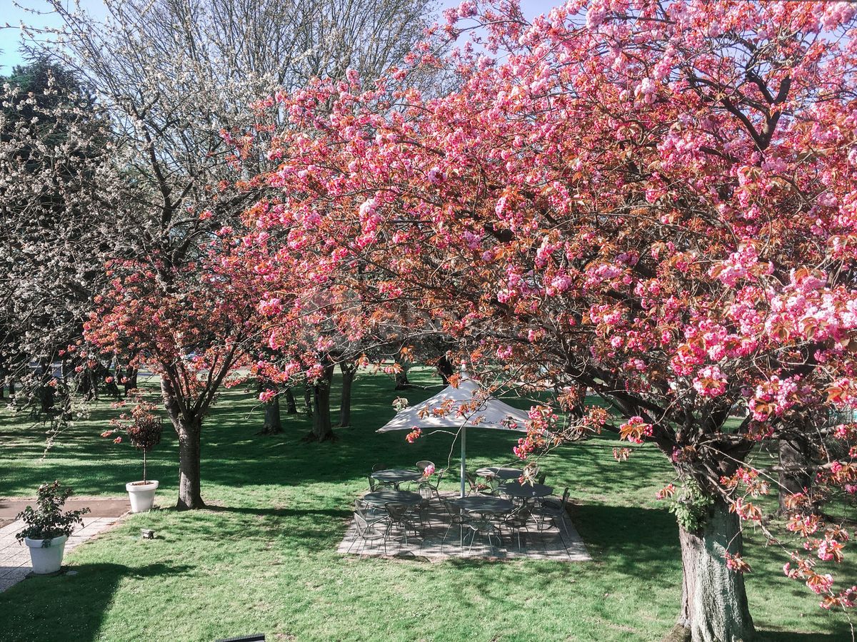 Le jardin de 2 hectares et notre piscine extérieure