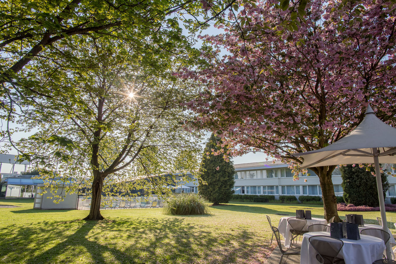 Le jardin de 2 hectares et notre piscine extérieure