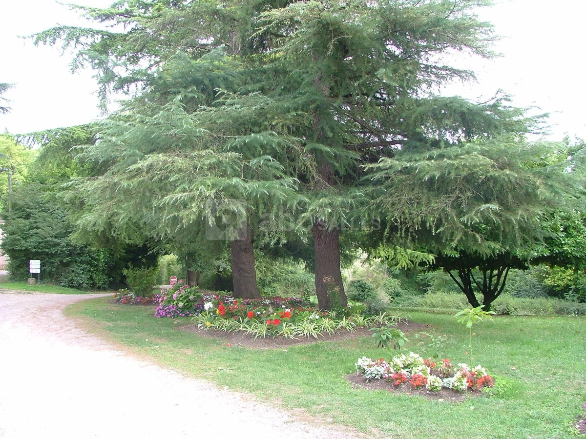 Le parc