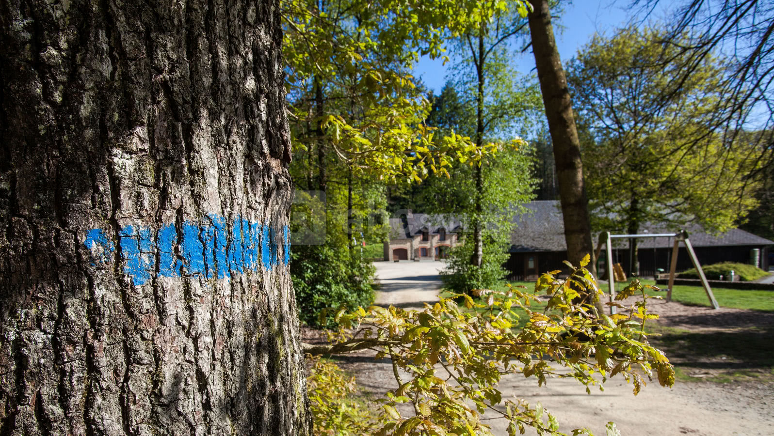 Chemins de randonnées au départ du site