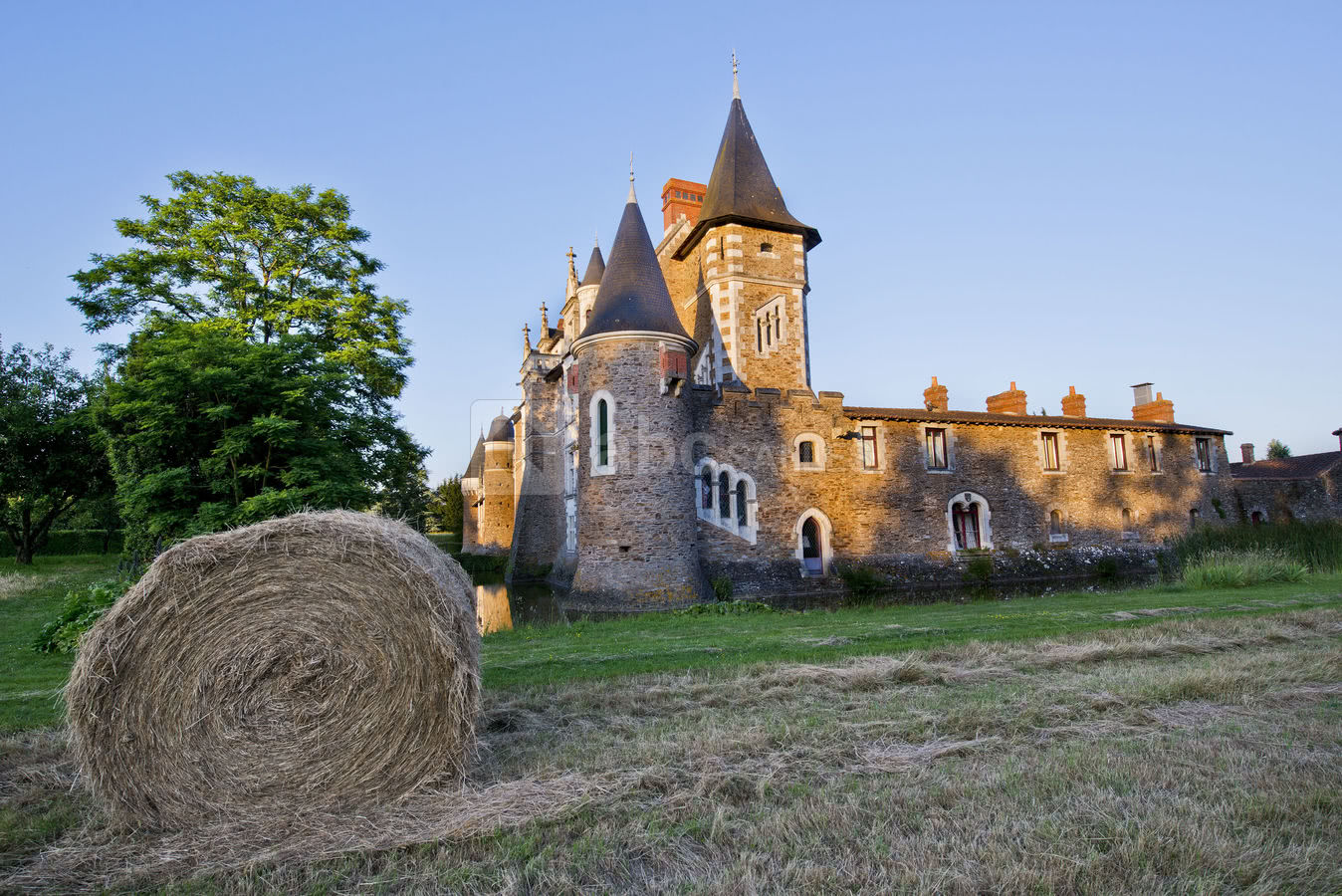 L'arriere du château