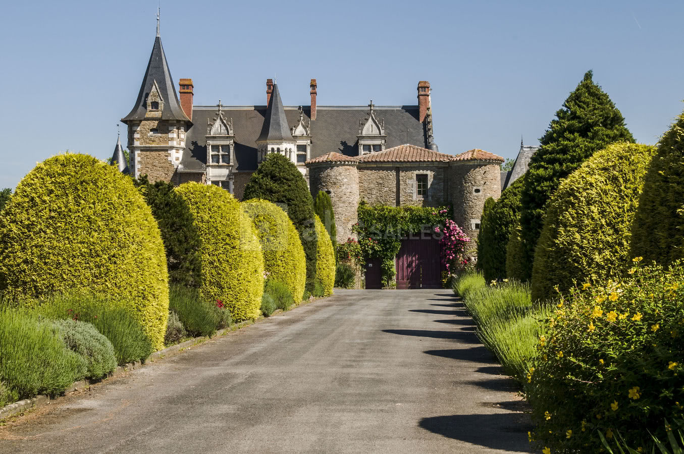 Allée du château
